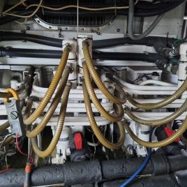 152721441_1363106534049205_8120033326885998769_n_optimized