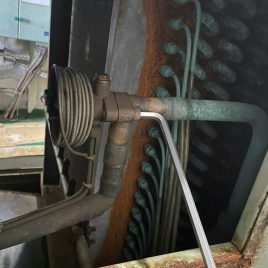 z4232197009532_bd59c06955a3438212bcb5070d242a6e